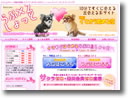 らぶ×2しょっと イメージ